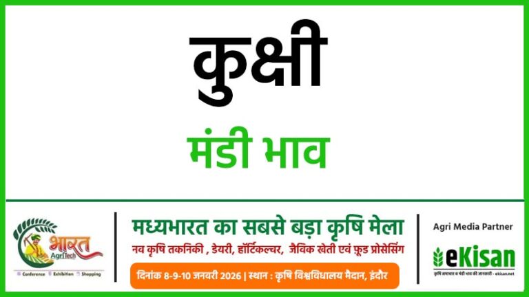 Kukshi Mandi Bhav कुक्षी मंडी भाव