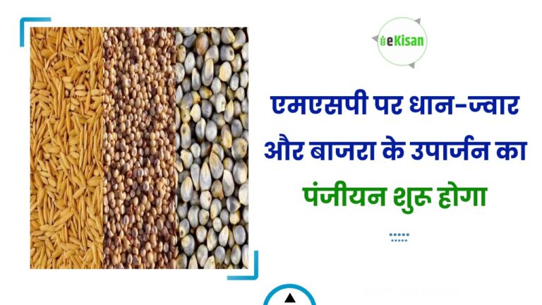 एमएसपी पर धान-ज्वार और बाजरा के उपार्जन का पंजीयन शुरू होगा