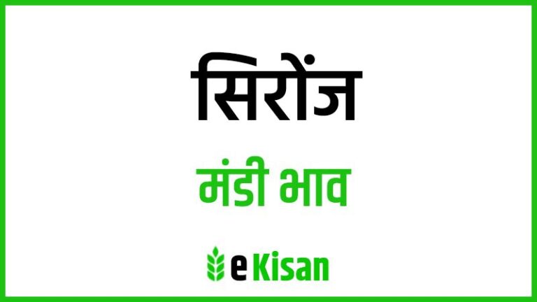 Sironj Mandi Bhav सिरोंज मंडी भाव