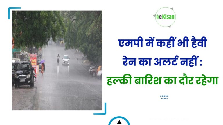 एमपी में कहीं भी हैवी रेन का अलर्ट नहीं : हल्की बारिश का दौर रहेगा