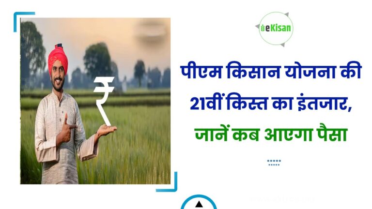 पीएम किसान योजना की 21वीं किस्त का इंतजार, जानें कब आएगा पैसा