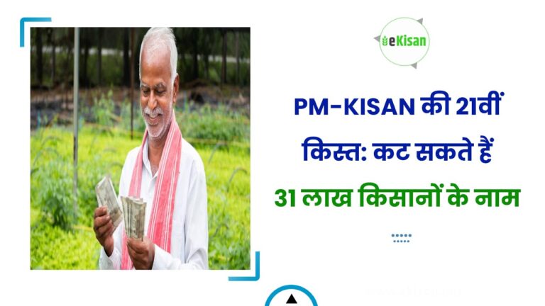 PM-KISAN की 21वीं किस्त: कट सकते हैं 31 लाख किसानों के नाम
