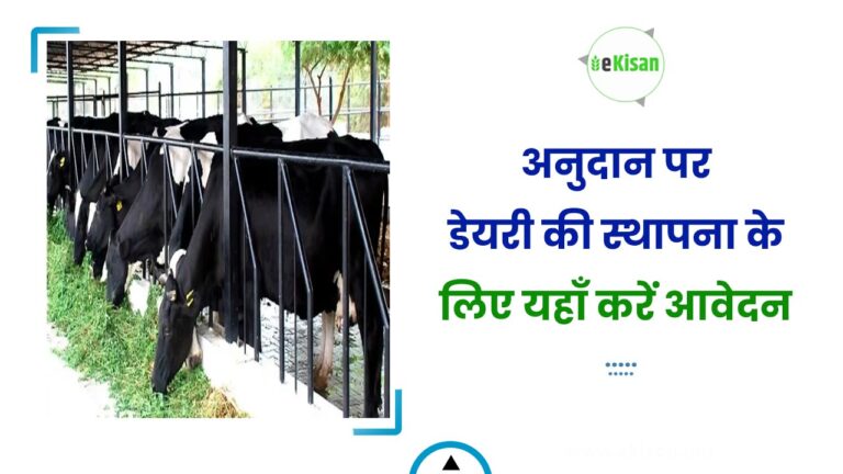 अनुदान पर डेयरी की स्थापना के लिए यहाँ करें आवेदन