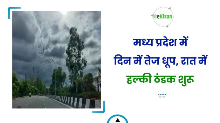 मध्य प्रदेश में दिन में तेज धूप, रात में हल्की ठंडक शुरू