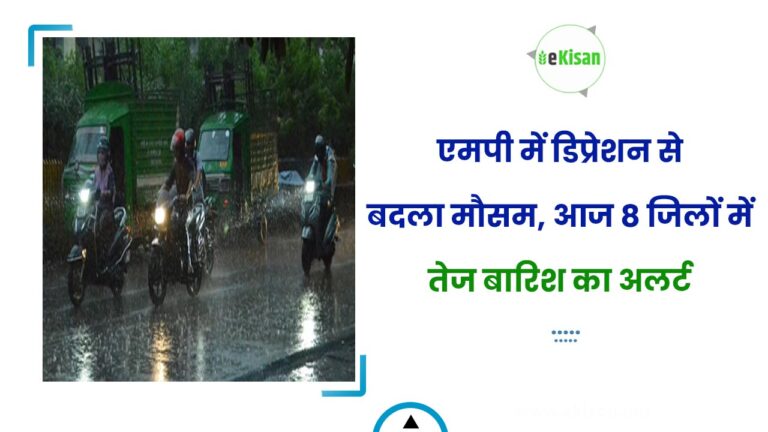 एमपी में डिप्रेशन से बदला मौसम, आज 8 जिलों में तेज बारिश का अलर्ट