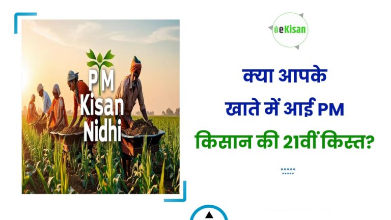 क्या आपके खाते में आई PM किसान की 21वीं किस्त?
