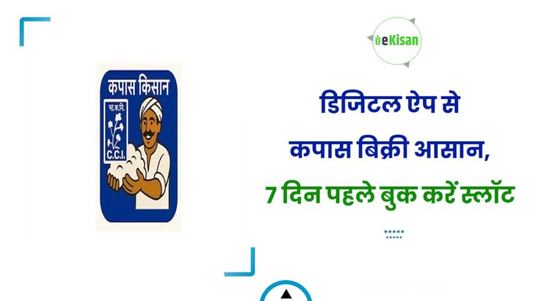 डिजिटल ऐप से कपास बिक्री आसान, 7 दिन पहले बुक करें स्लॉट