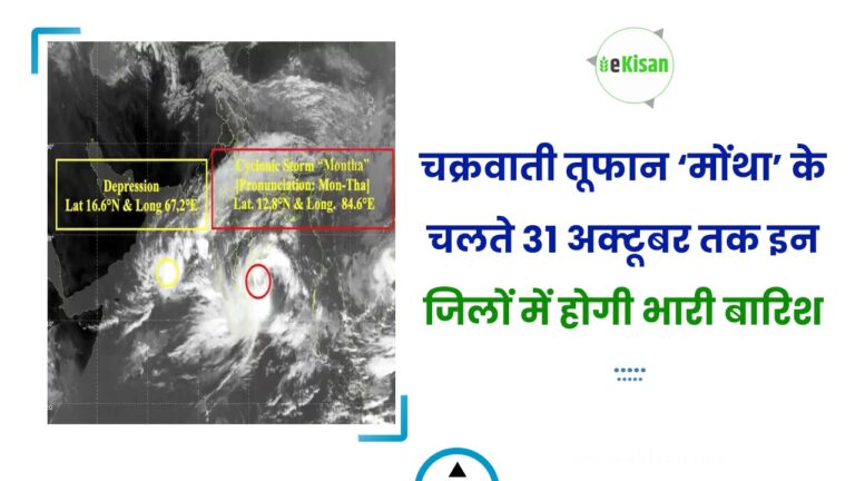 चक्रवाती तूफान ‘मोंथा’ के चलते 31 अक्टूबर तक इन जिलों में होगी भारी बारिश