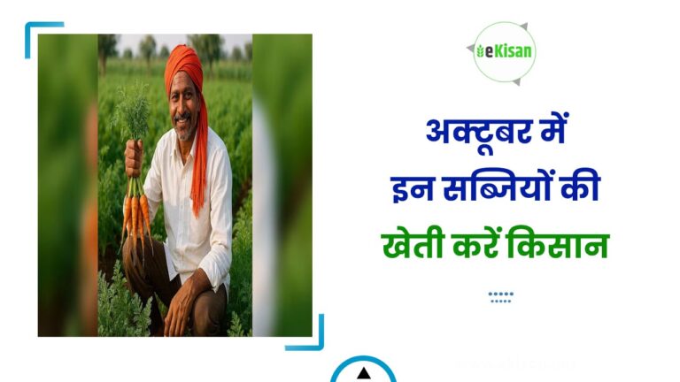 अक्टूबर में इन सब्जियों की खेती करें किसान