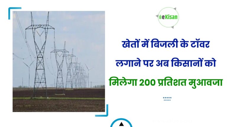 खेतों में बिजली के टॉवर लगाने पर अब किसानों को मिलेगा 200 प्रतिशत मुआवजा