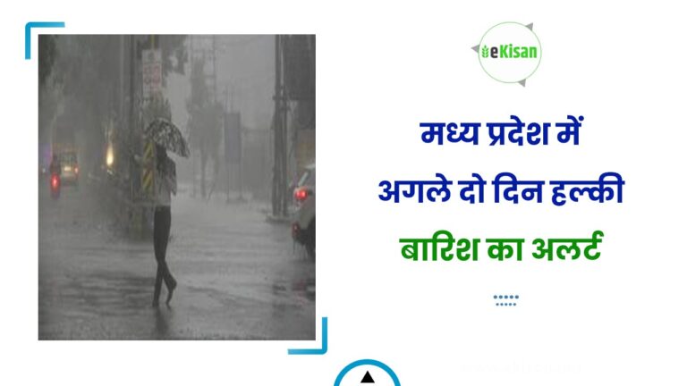 मध्य प्रदेश में अगले दो दिन हल्की बारिश का अलर्ट