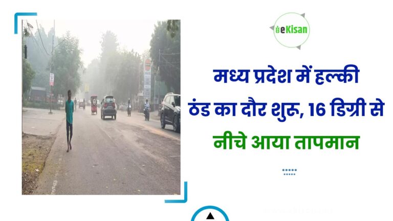 मध्य प्रदेश में हल्की ठंड का दौर शुरू, 16 डिग्री से नीचे आया तापमान
