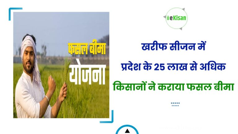 खरीफ सीजन में प्रदेश के 25 लाख से अधिक किसानों ने कराया फसल बीमा