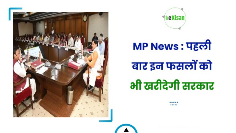 MP News : पहली बार इन फसलों को भी खरीदेगी सरकार