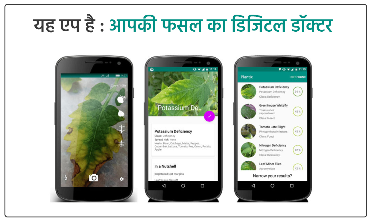 app for crops desease detection