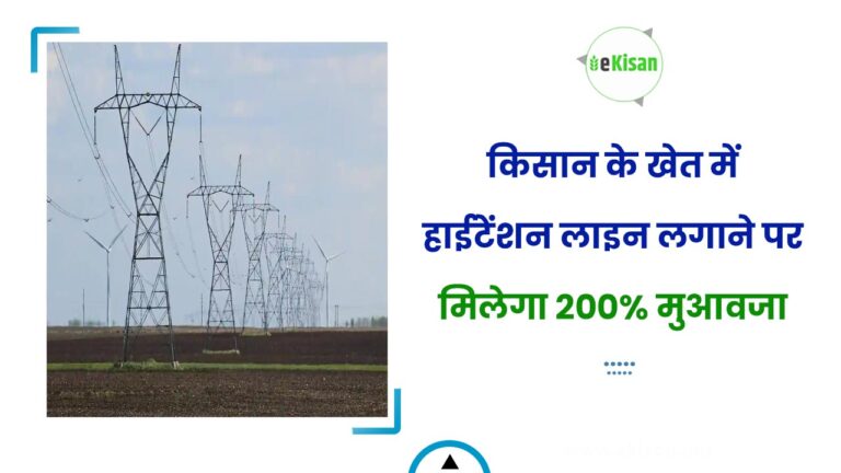 किसान के खेत में हाईटेंशन लाइन लगाने पर मिलेगा 200% मुआवजा