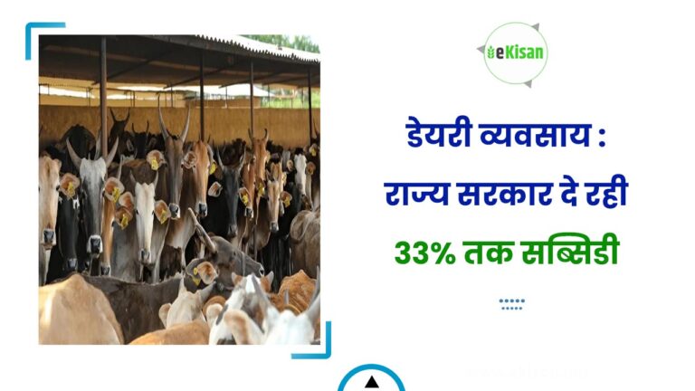 डेयरी व्यवसाय : राज्य सरकार दे रही 33% तक सब्सिडी