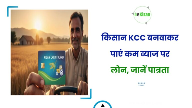किसान KCC बनवाकर पाएं कम ब्याज पर लोन, जानें पात्रता