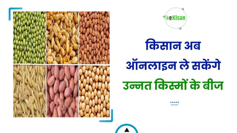 किसान अब ऑनलाइन ले सकेंगे उन्नत किस्मों के बीज