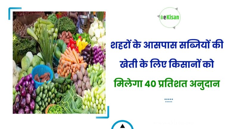 शहरों के आसपास सब्जियों की खेती के लिए किसानों को मिलेगा 40 प्रतिशत अनुदान