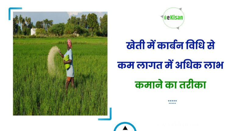 खेती में कार्बन विधि से कम लागत में अधिक लाभ कमाने का तरीका