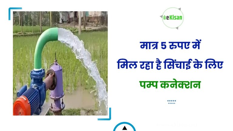 मात्र 5 रुपए में मिल रहा है सिंचाई के लिए पम्प कनेक्शन