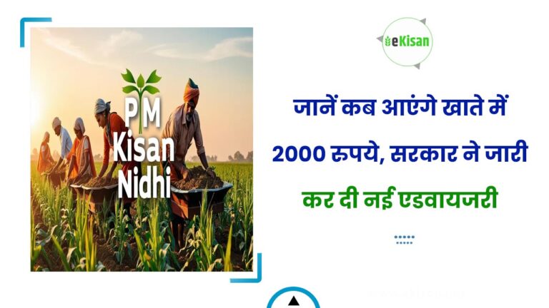 जानें कब आएंगे खाते में 2000 रुपये, सरकार ने जारी कर दी नई एडवायजरी