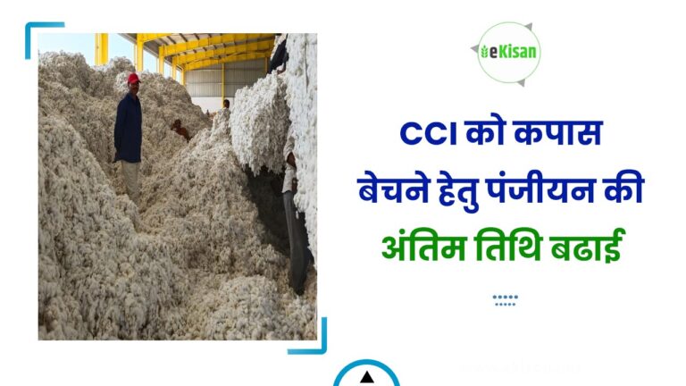 CCI को कपास बेचने हेतु पंजीयन की अंतिम तिथि बढाई
