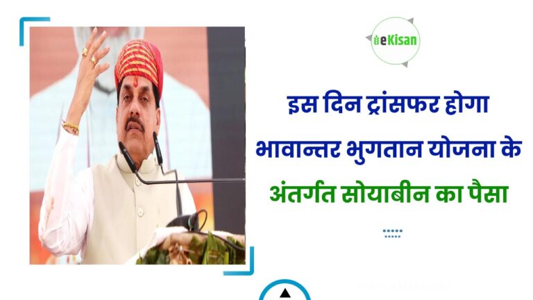 इस दिन ट्रांसफर होगा भावान्तर भुगतान योजना के अंतर्गत सोयाबीन का पैसा