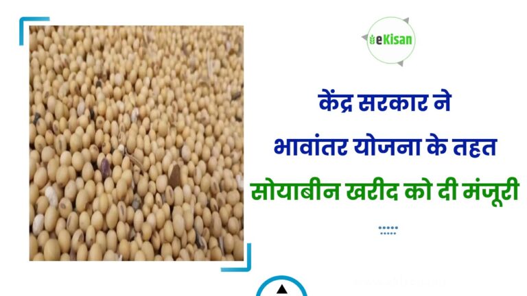 केंद्र सरकार ने भावांतर योजना के तहत सोयाबीन खरीद को दी मंजूरी
