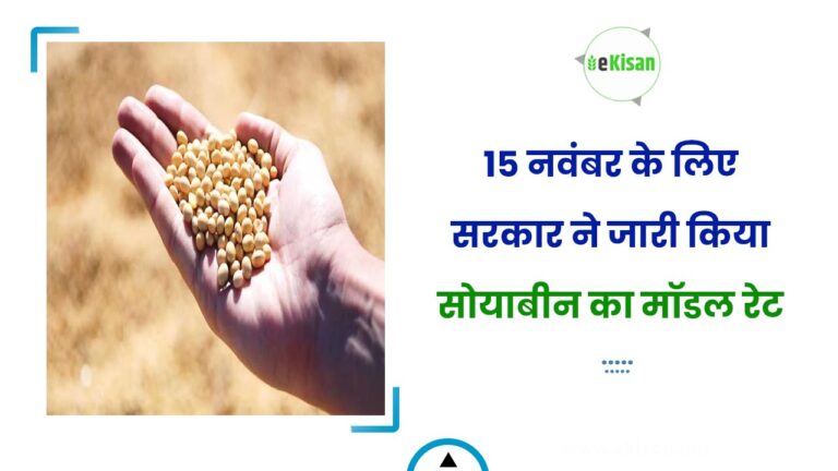 15 नवंबर के लिए सरकार ने जारी किया सोयाबीन का मॉडल रेट