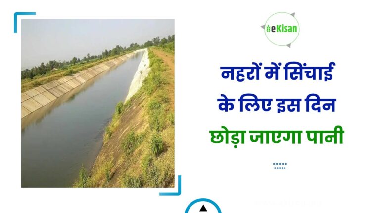 नहरों में सिंचाई के लिए इस दिन छोड़ा जाएगा पानी