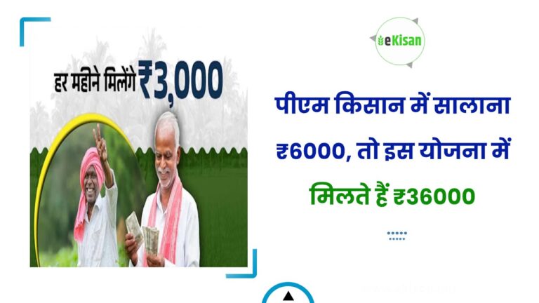 पीएम किसान में सालाना ₹6000, तो इस योजना में मिलते हैं ₹36000