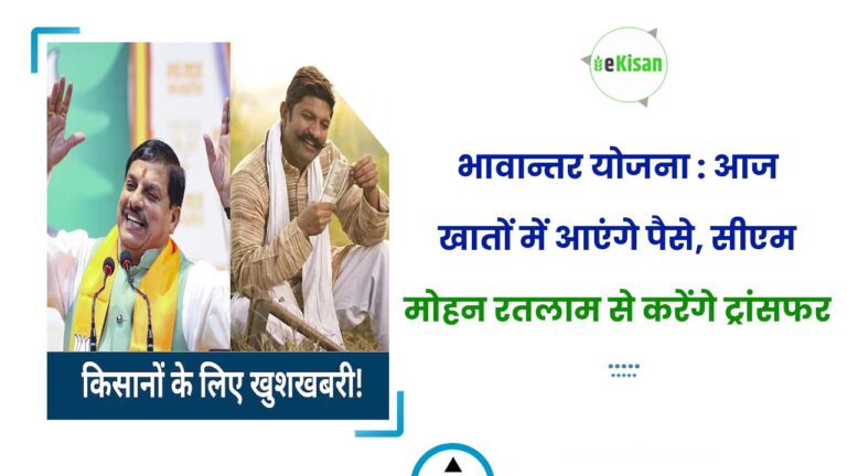 भावान्तर योजना : आज खातों में आएंगे पैसे, सीएम मोहन रतलाम से करेंगे ट्रांसफर