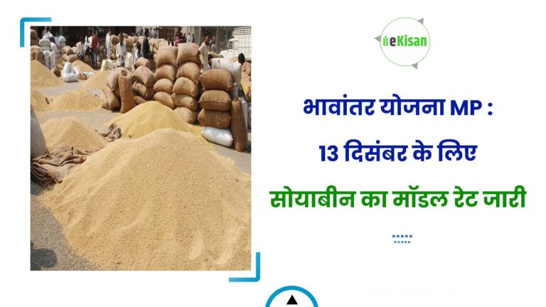भावांतर योजना MP : 13 दिसंबर के लिए सोयाबीन का मॉडल रेट जारी