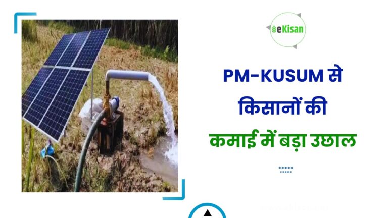 PM-KUSUM से किसानों की कमाई में बड़ा उछाल