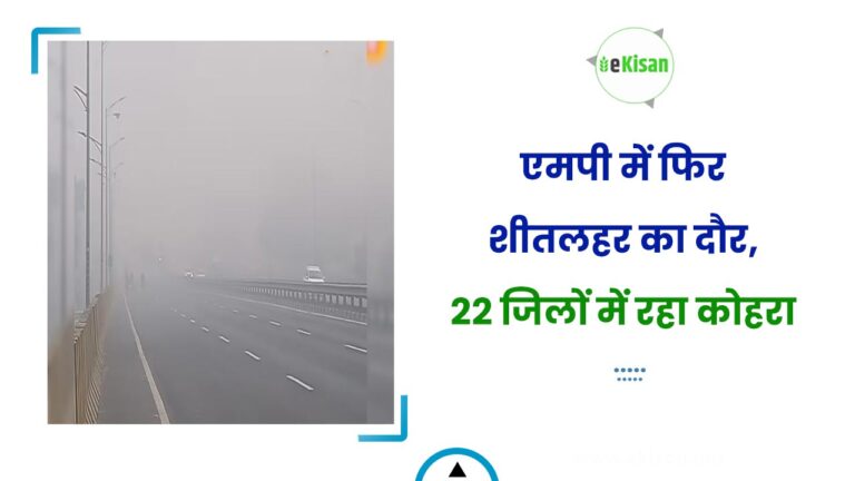 एमपी में फिर शीतलहर का दौर, 22 जिलों में रहा कोहरा