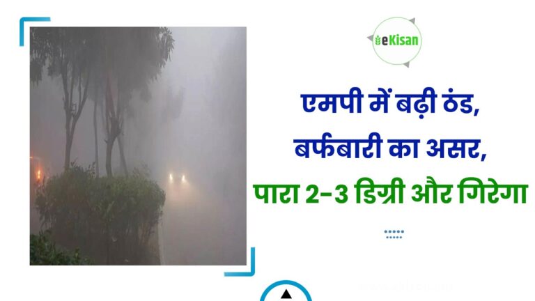 एमपी में बढ़ी ठंड, बर्फबारी का असर, पारा 2-3 डिग्री और गिरेगा