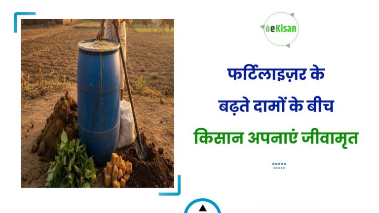 फर्टिलाइज़र के बढ़ते दामों के बीच किसान अपनाएं जीवामृत