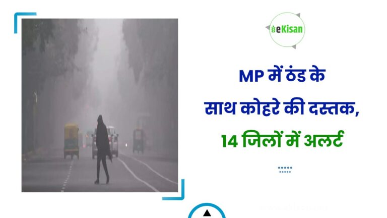 MP में ठंड के साथ कोहरे की दस्तक, 14 जिलों में अलर्ट