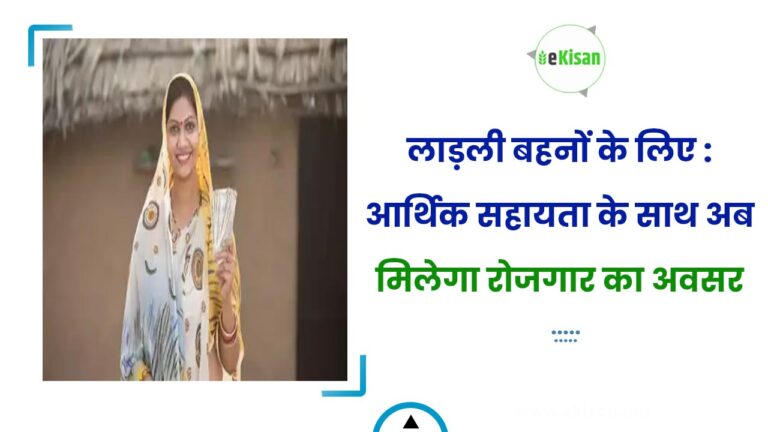 लाड़ली बहनों के लिए : आर्थिक सहायता के साथ अब मिलेगा रोजगार का अवसर