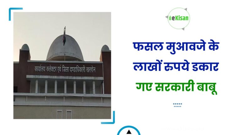 फसल मुआवजे के लाखों रुपये डकार गए सरकारी बाबू