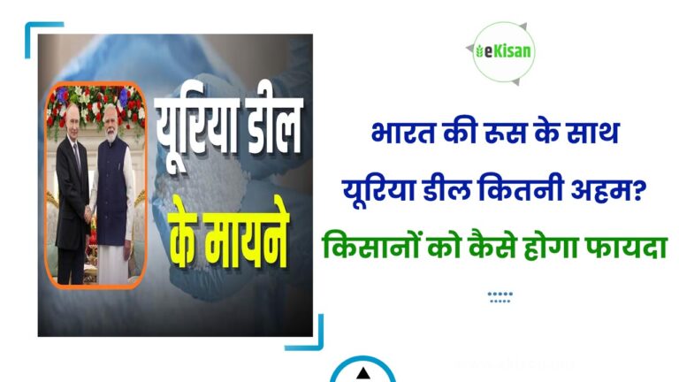भारत की रूस के साथ यूरिया डील कितनी अहम? किसानों को कैसे होगा फायदा