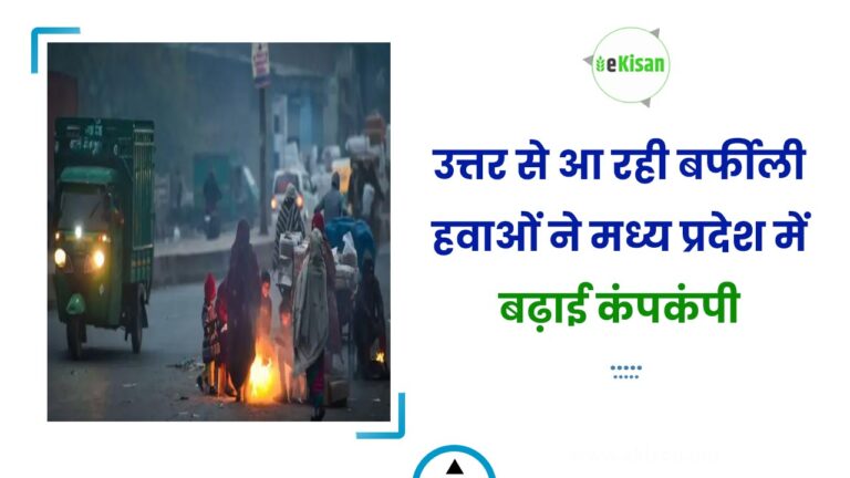 उत्तर से आ रही बर्फीली हवाओं ने मध्य प्रदेश में बढ़ाई कंपकंपी