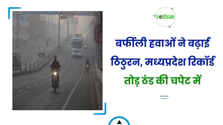 बर्फीली हवाओं ने बढ़ाई ठिठुरन, मध्यप्रदेश रिकॉर्ड तोड़ ठंड की चपेट में