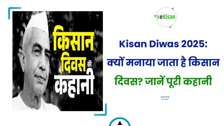 Kisan Diwas 2025: क्यों मनाया जाता है किसान दिवस? जानें पूरी कहानी