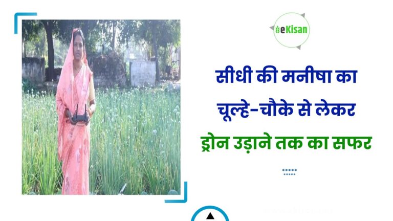 सीधी की मनीषा का चूल्हे-चौके से लेकर ड्रोन उड़ाने तक का सफर