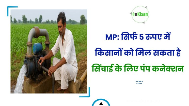 MP: सिर्फ 5 रुपए में किसानों को मिल सकता है सिंचाई के लिए पंप कनेक्शन