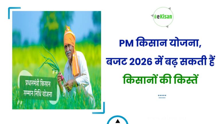 PM किसान योजना, बजट 2026 में बढ़ सकती हैं किसानों की किस्तें