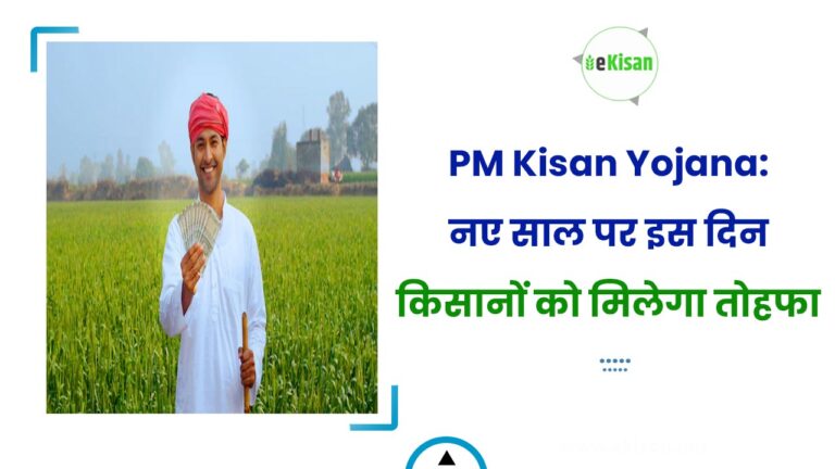 PM Kisan Yojana: नए साल पर इस दिन किसानों को मिलेगा तोहफा